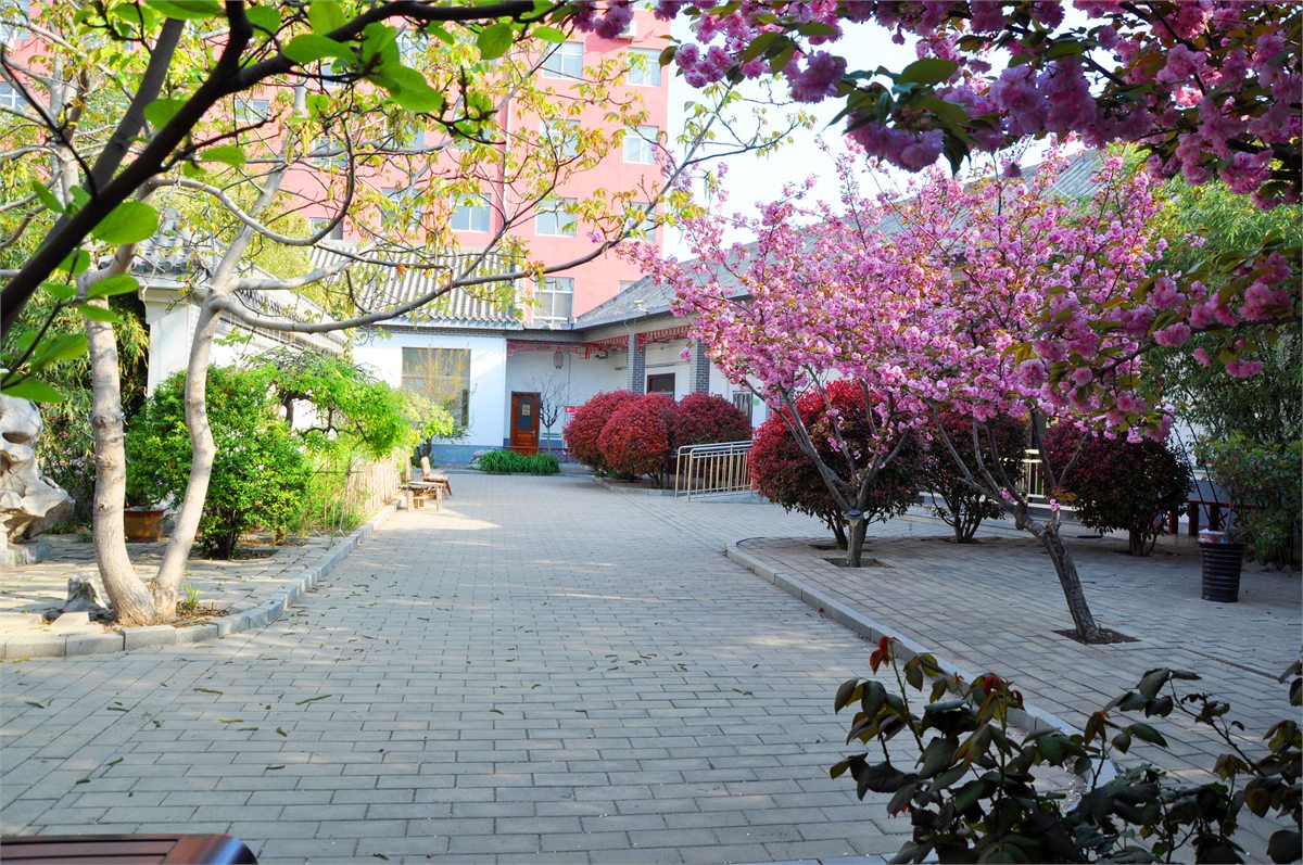 邹城市寸草春晖老年公寓园林绿化