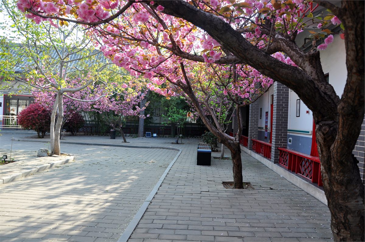 邹城市寸草春晖老年公寓庭院花木与院内环境
