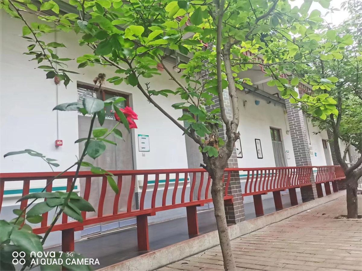 邹城市寸草春晖老年公寓院内绿化空间